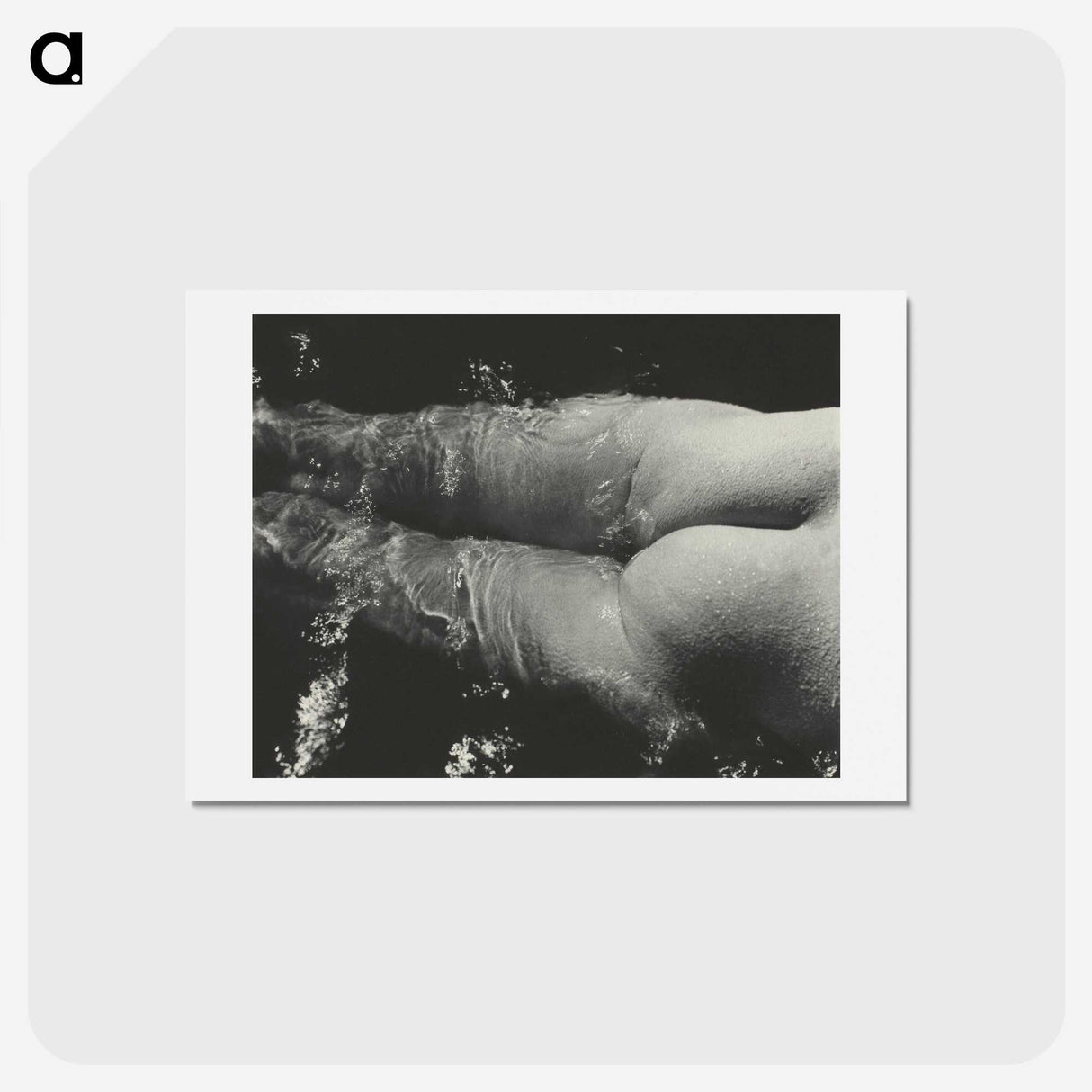 1-49_Alfred-Stieglitz_hagaki