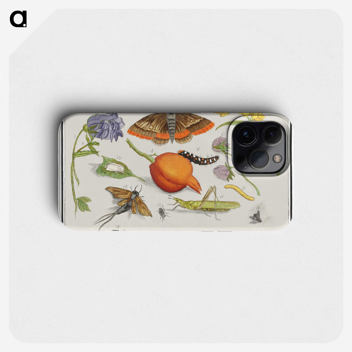 1-49_Anselmus-Boetius-de-Boodt_phone