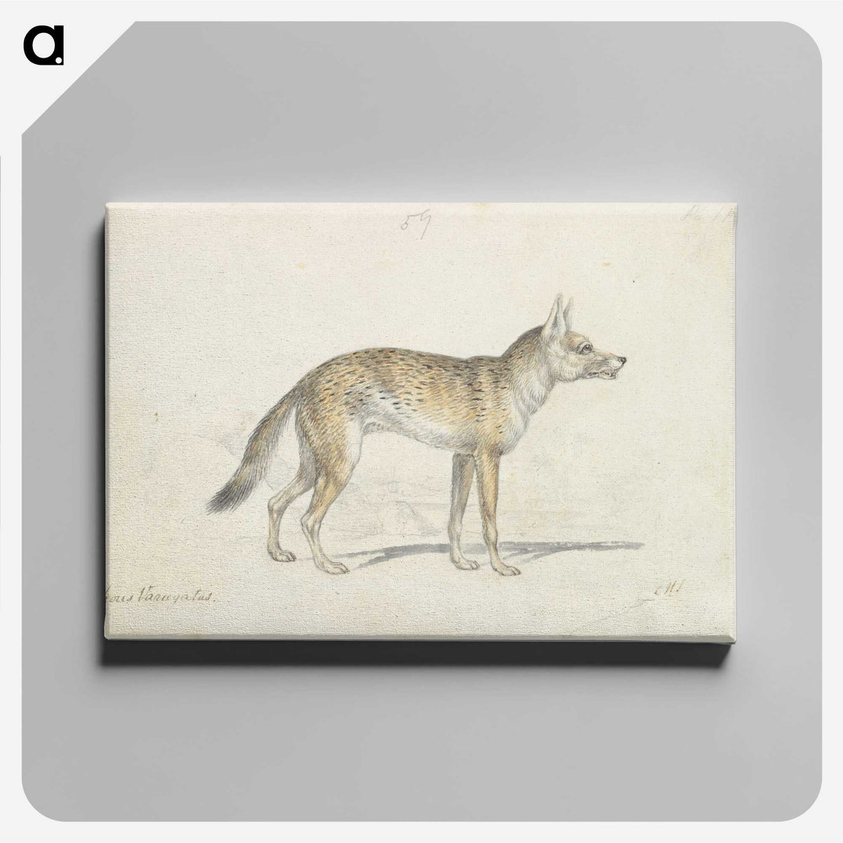 1-49_Charles-Hamilton-Smith_canvas