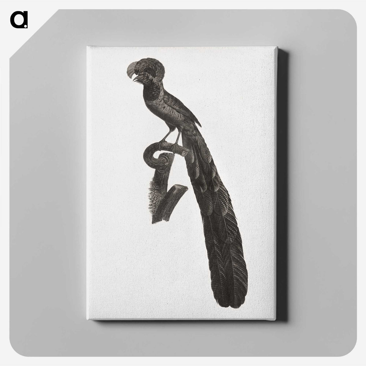 1-49_Des-Oiseaux-de-Paradis_canvas