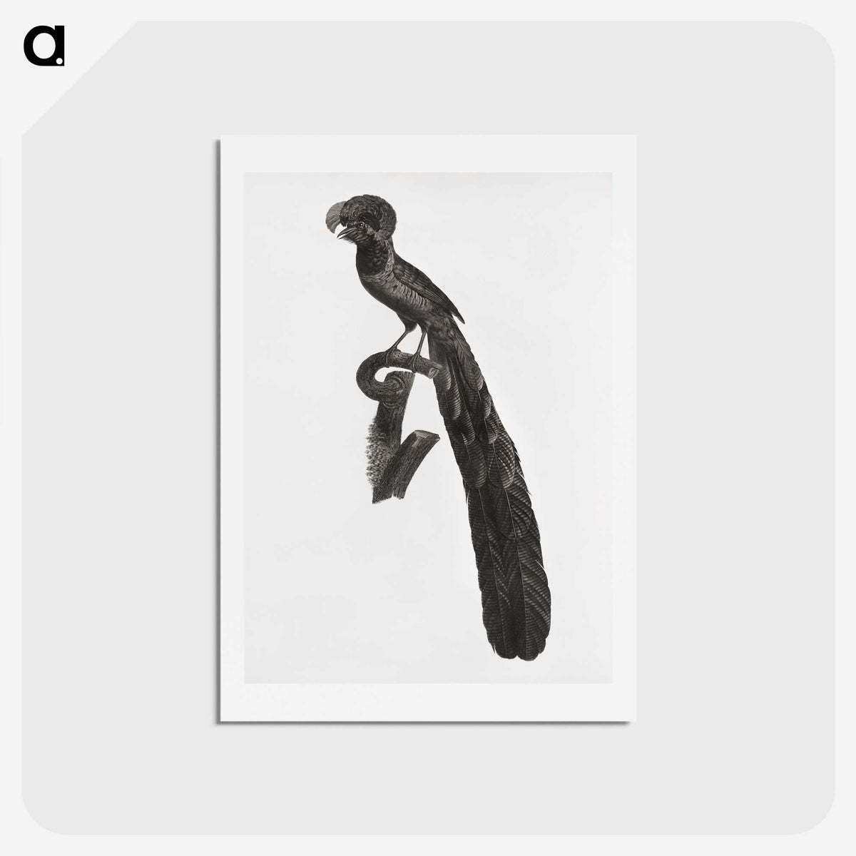 1-49_Des-Oiseaux-de-Paradis_hagaki