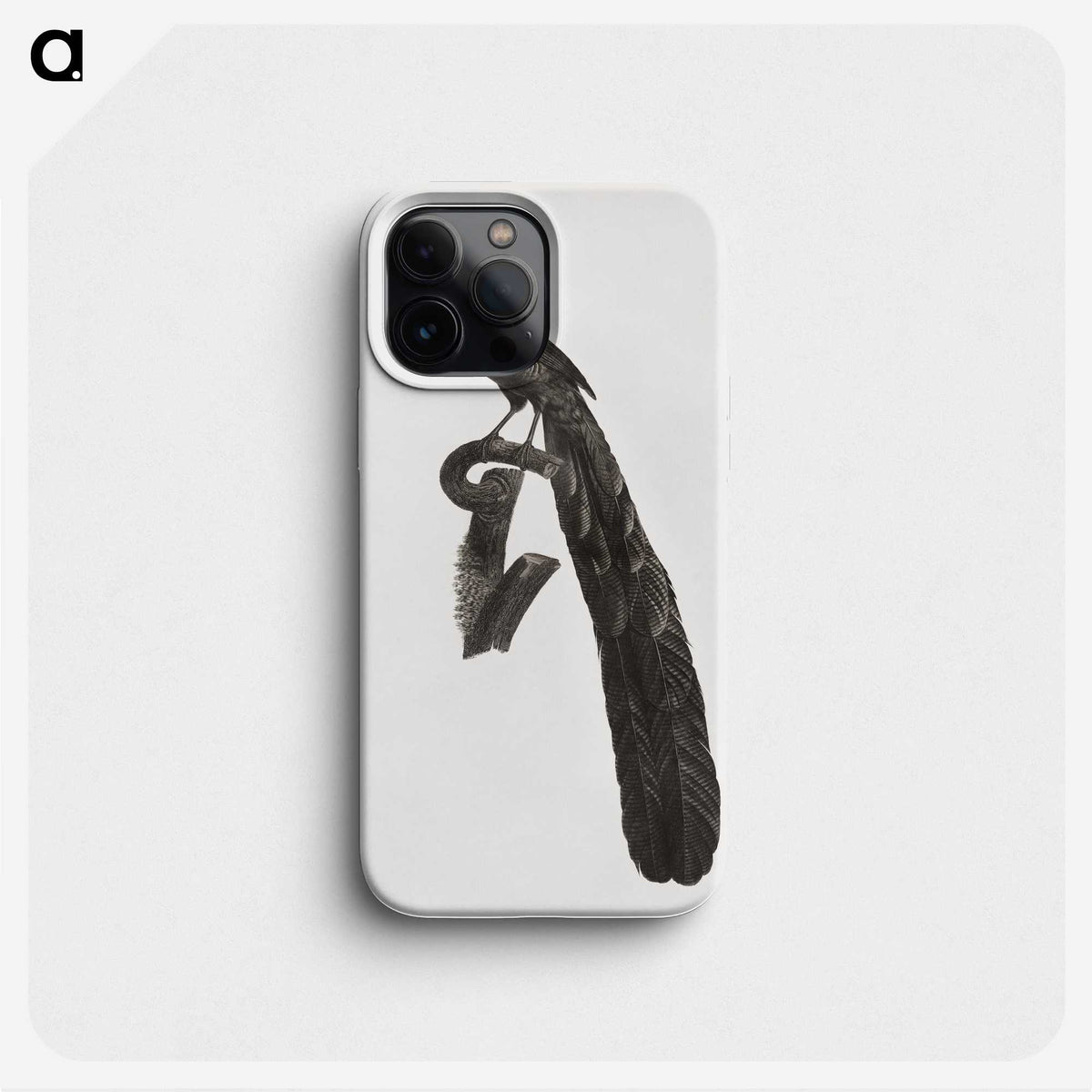 1-49_Des-Oiseaux-de-Paradis_phone