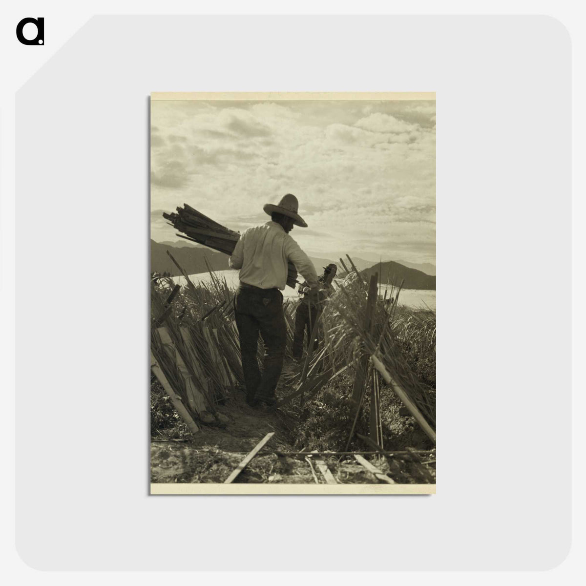 1-49_Dorothea-Lange_postcard