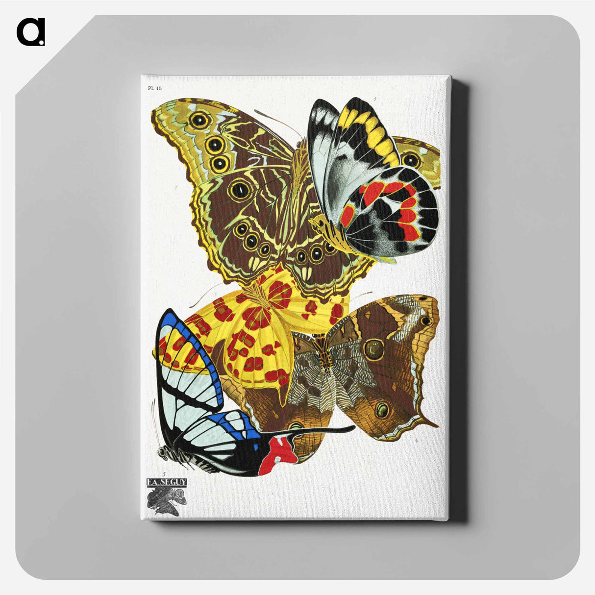 E.A. Séguy's vintage butterflies - E.A.セギー Canvas.