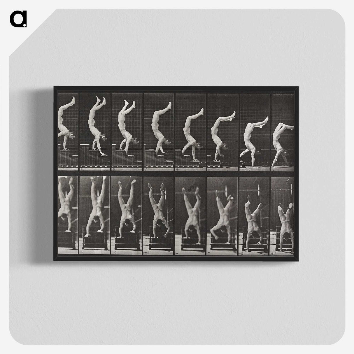 1-49_Eadweard-Muybridge_blk-crop