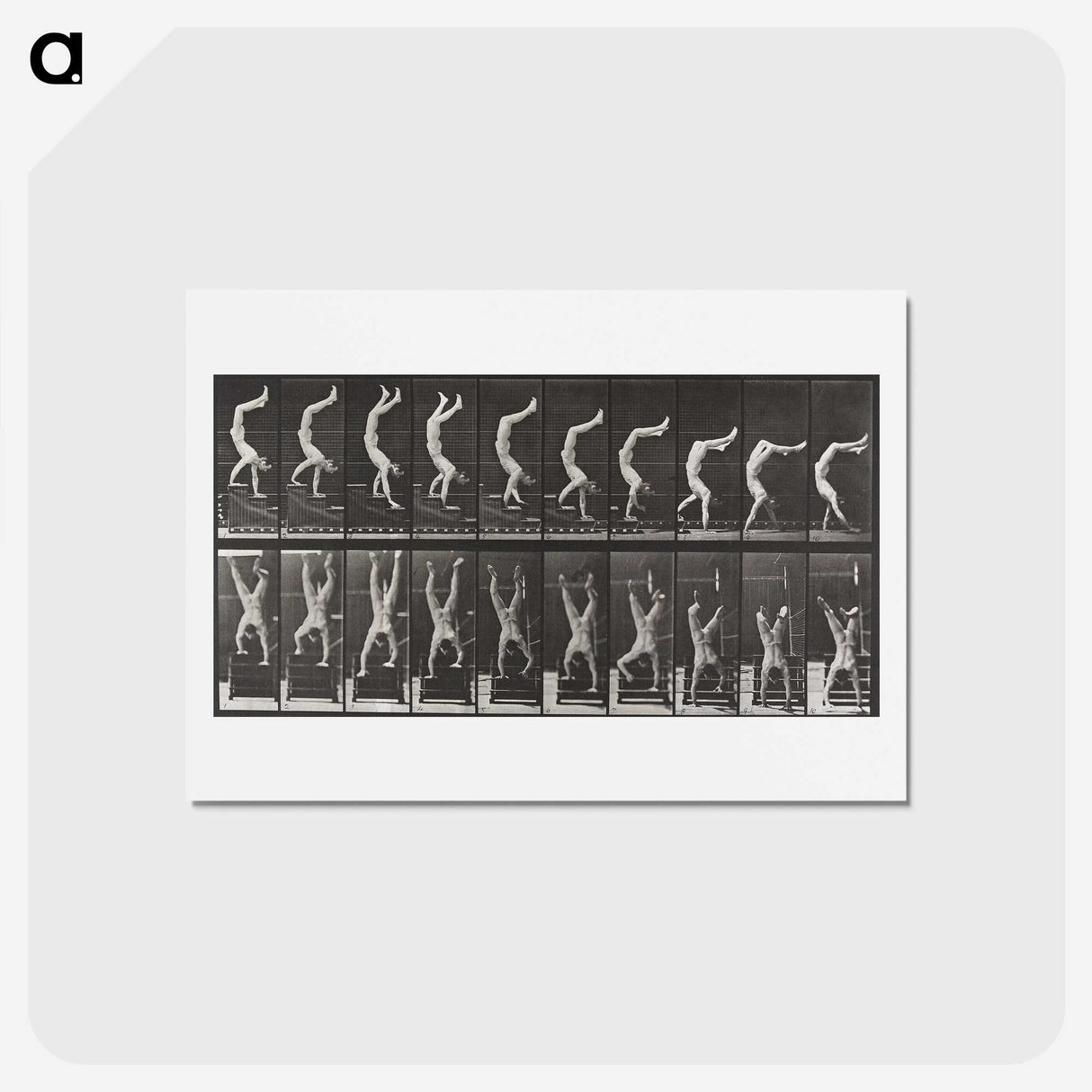 1-49_Eadweard-Muybridge_hagaki