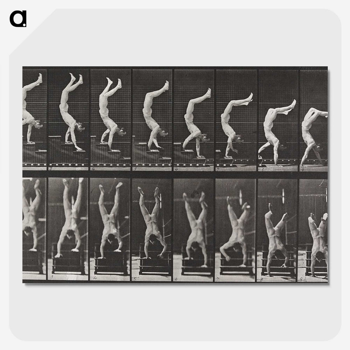 1-49_Eadweard-Muybridge_picture-crop