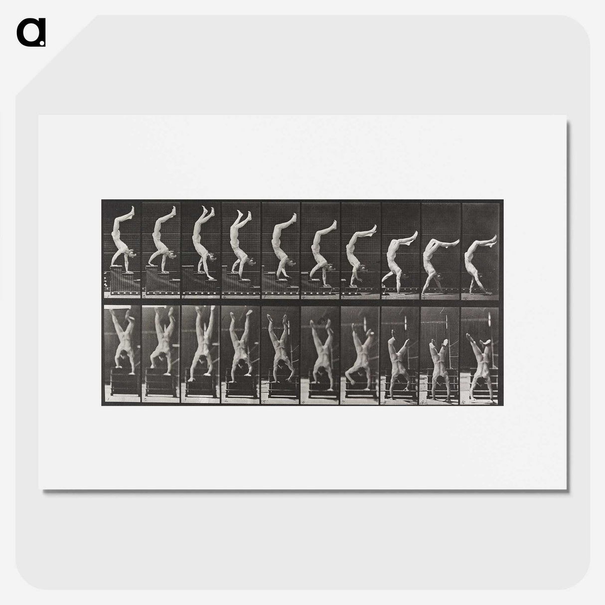 1-49_Eadweard-Muybridge_picture