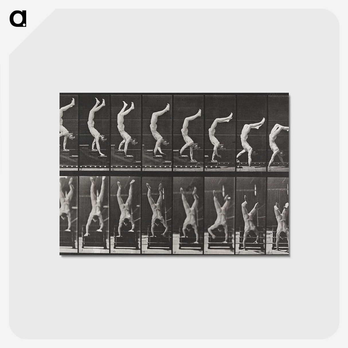 1-49_Eadweard-Muybridge_postcard