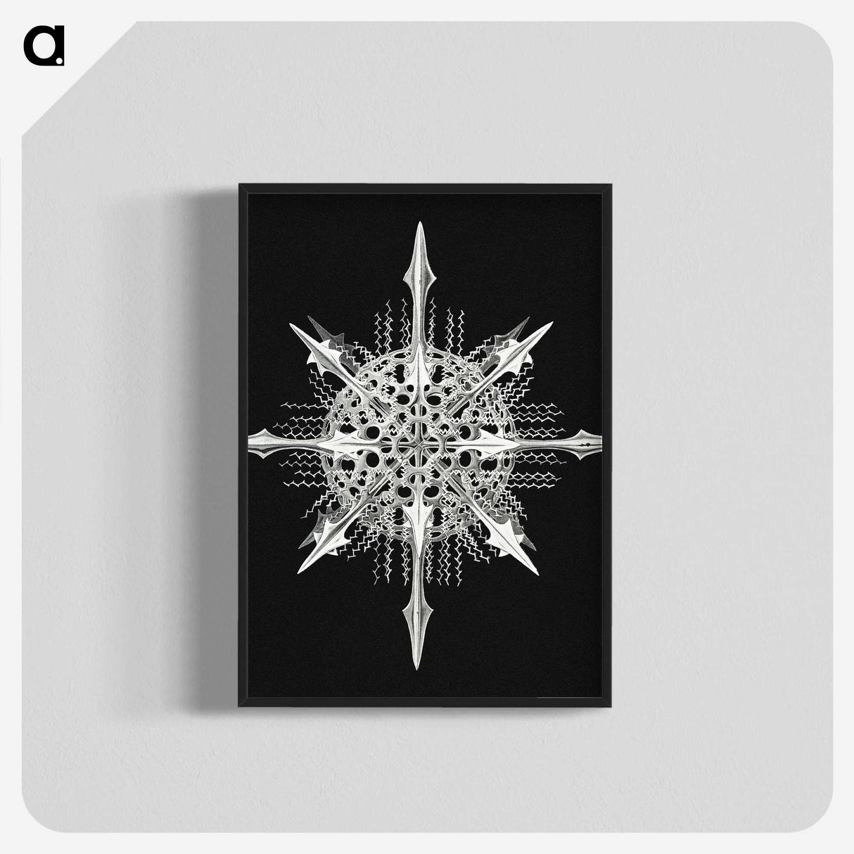 1-49_Ernst-Haeckel_blk-crop