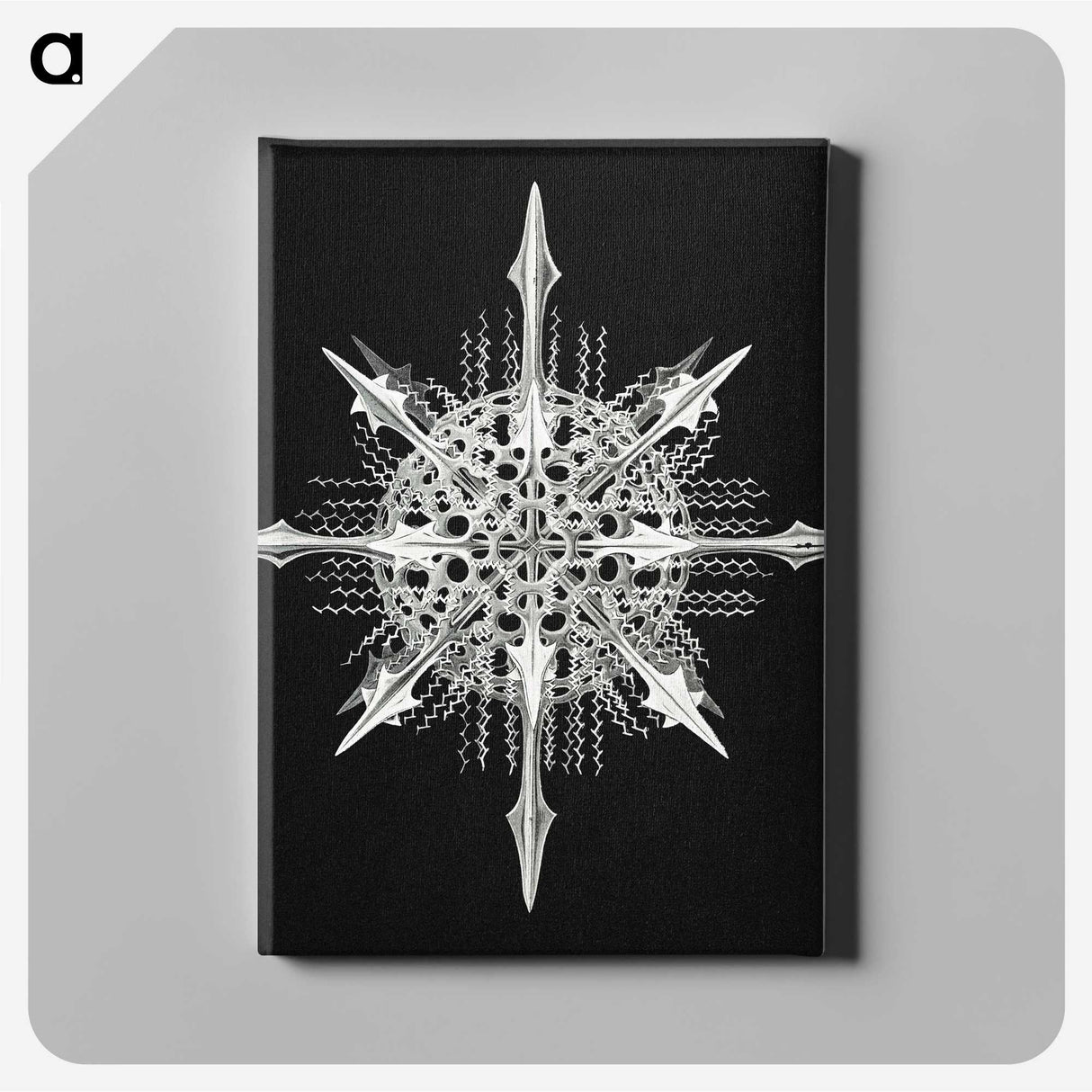 1-49_Ernst-Haeckel_canvas