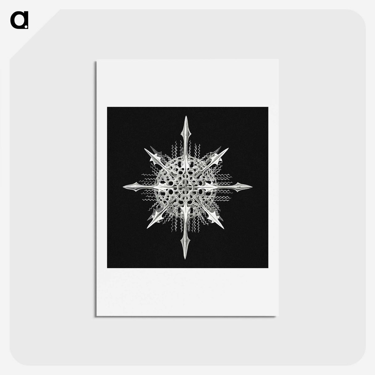 1-49_Ernst-Haeckel_hagaki