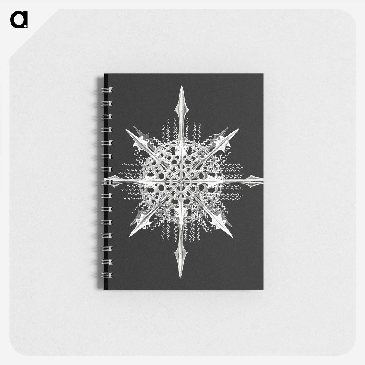 1-49_Ernst-Haeckel_memo