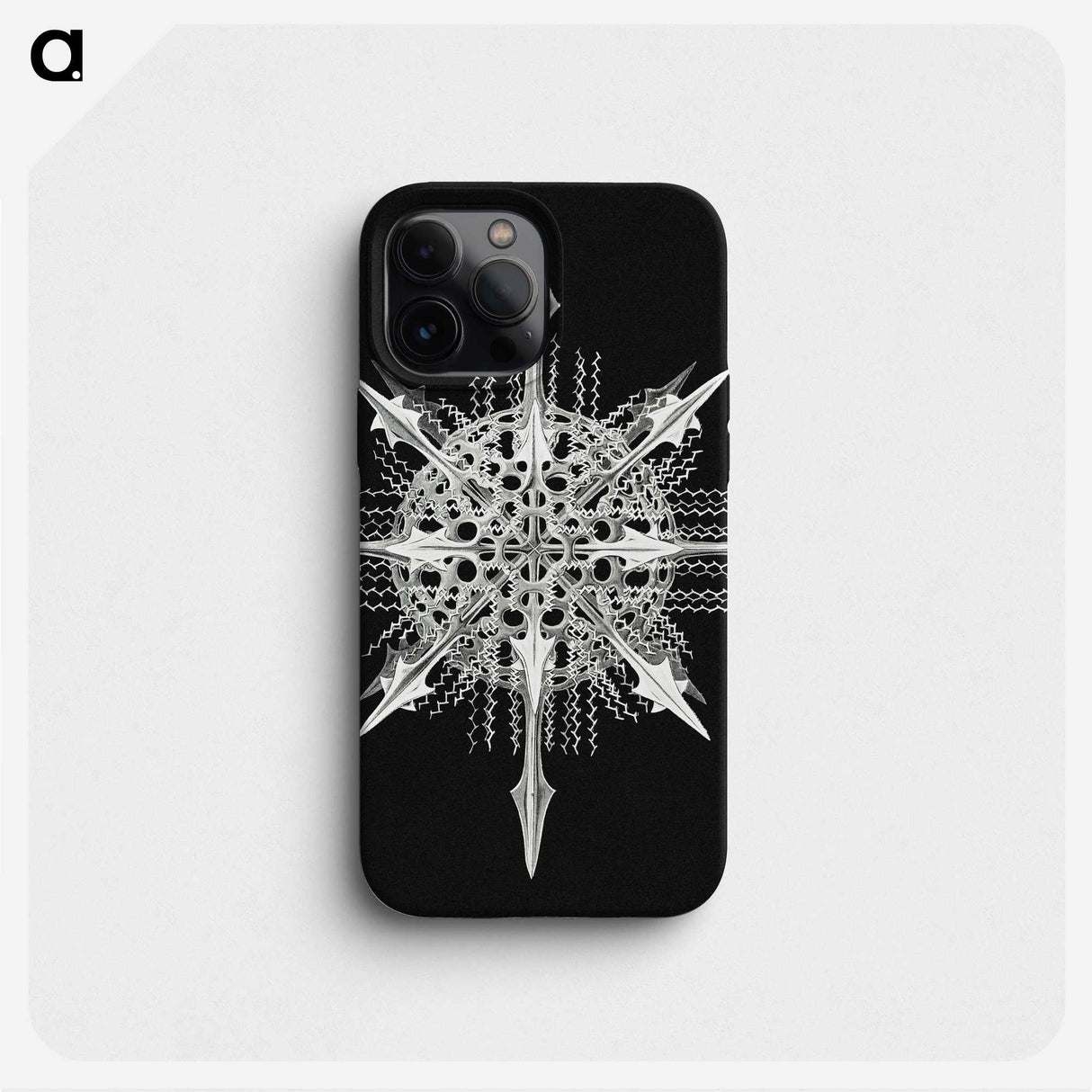 1-49_Ernst-Haeckel_phone