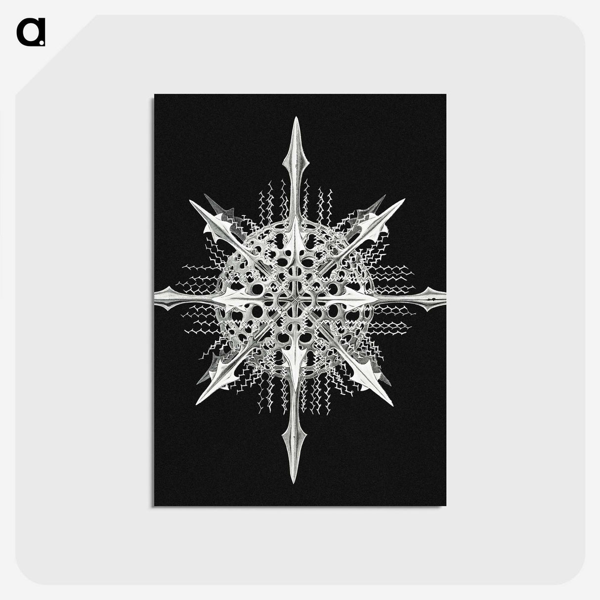 1-49_Ernst-Haeckel_postcard