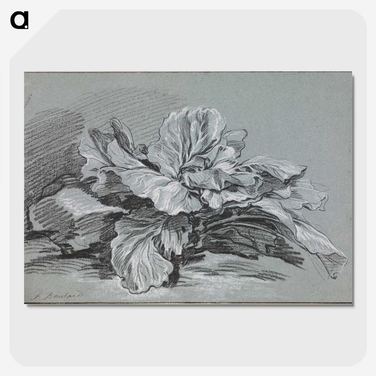 1-49_Francois-Boucher_picture-crop