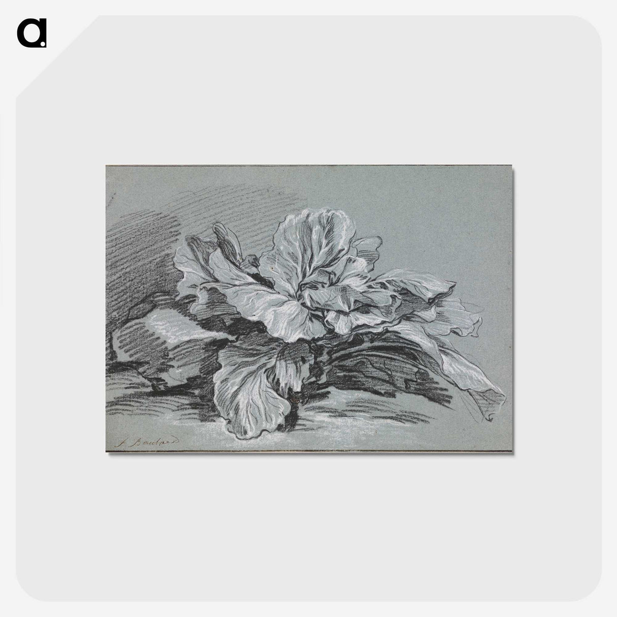 1-49_Francois-Boucher_postcard