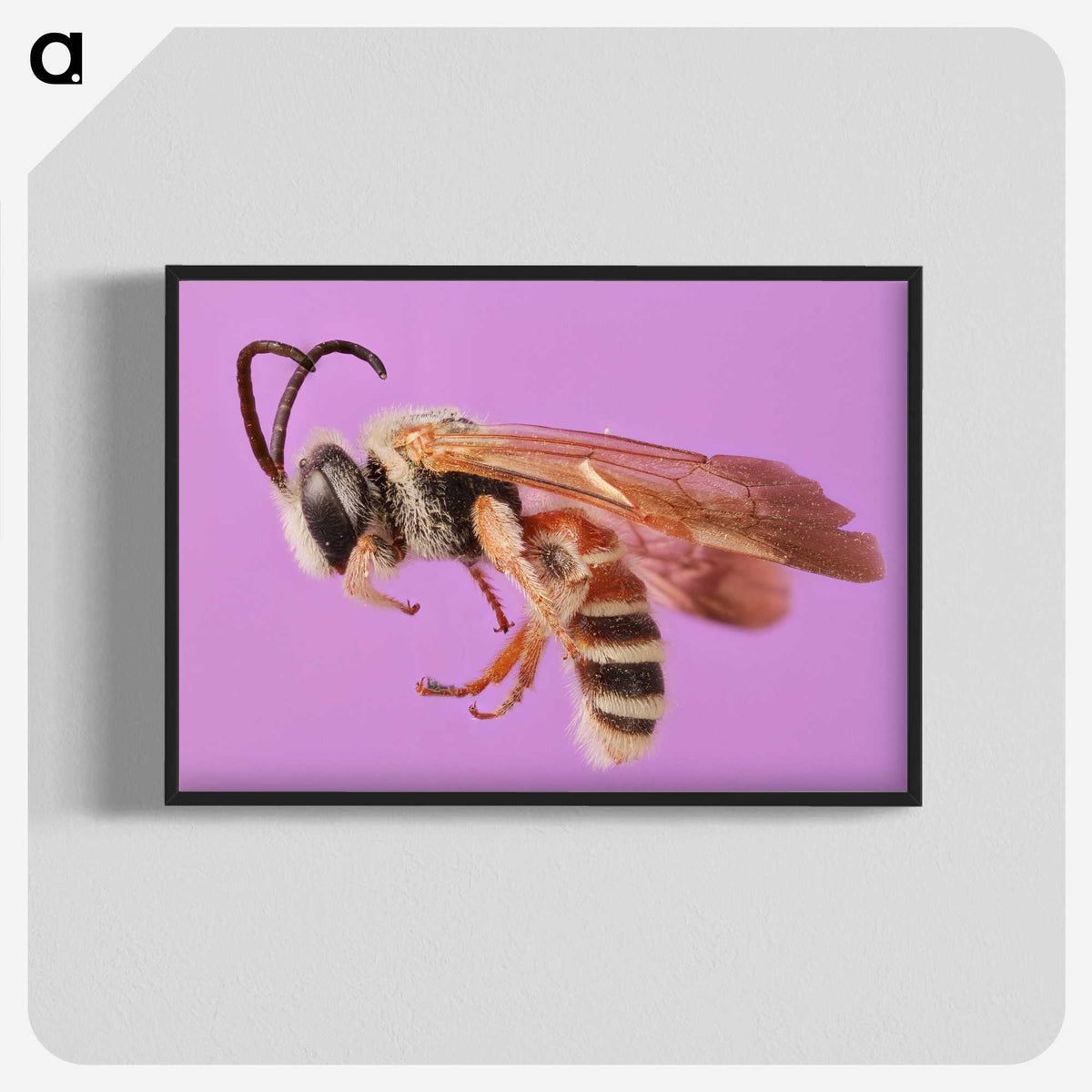 1-49_Insects-Unlocked-Project_blk-crop