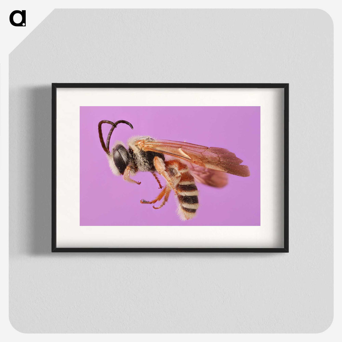1-49_Insects-Unlocked-Project_blk
