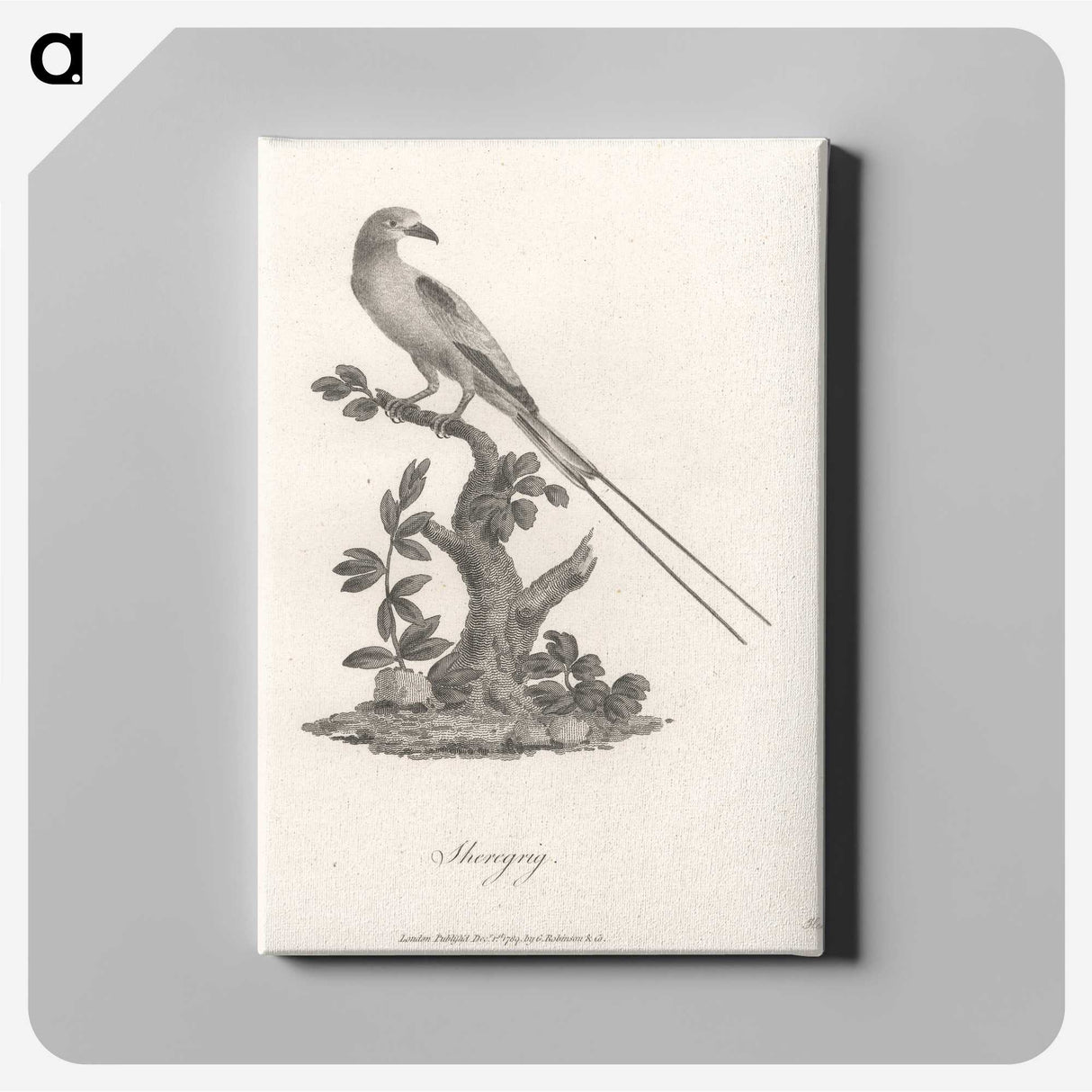 1-49_James-Heath_canvas