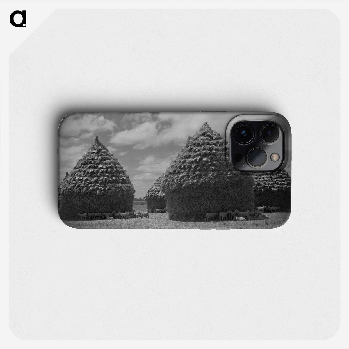 1-49_James-Walter-Chapman-Taylor_phone