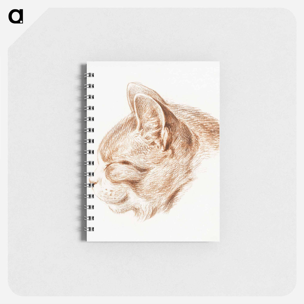 Sketch of a cat - ジャン ベルナール Memo.