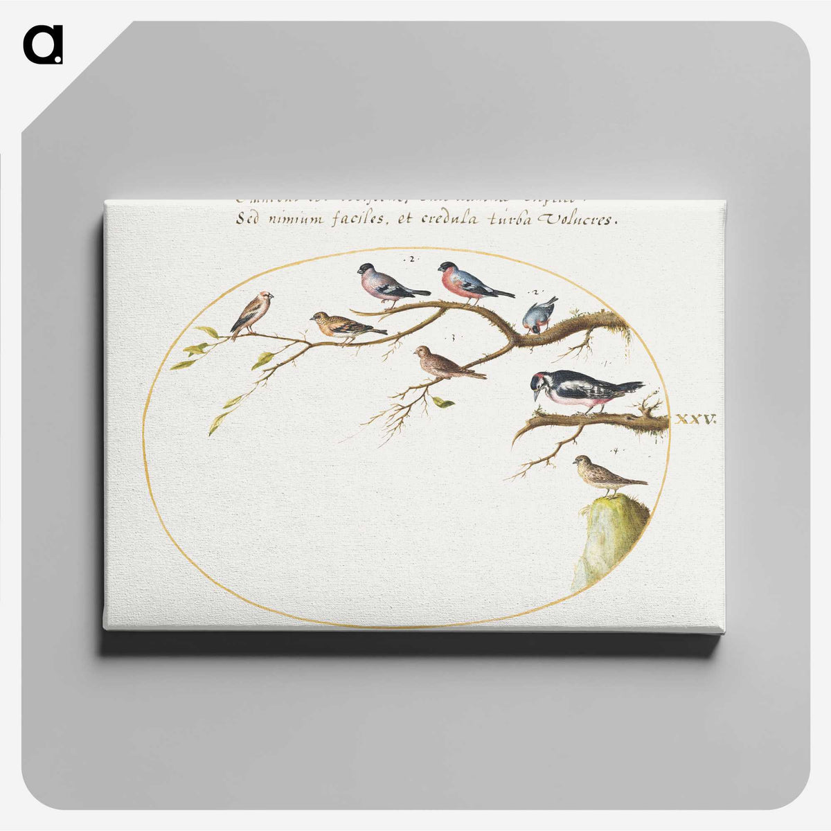 1-49_Joris-Hoefnagel_canvas