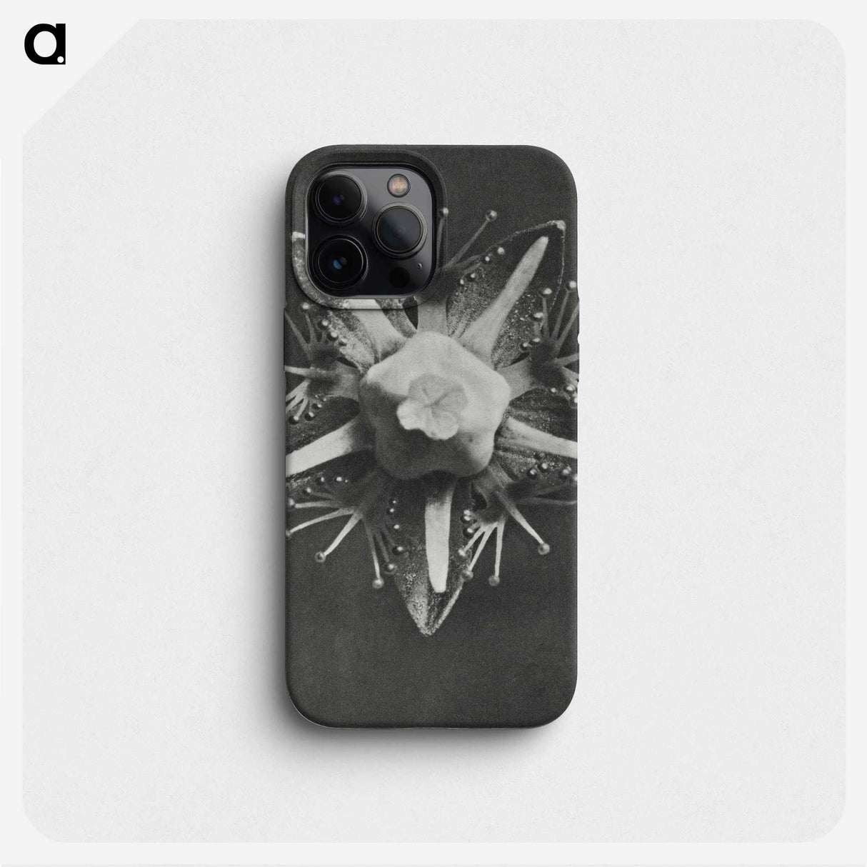 1-49_Karl-Blossfeldt_phone