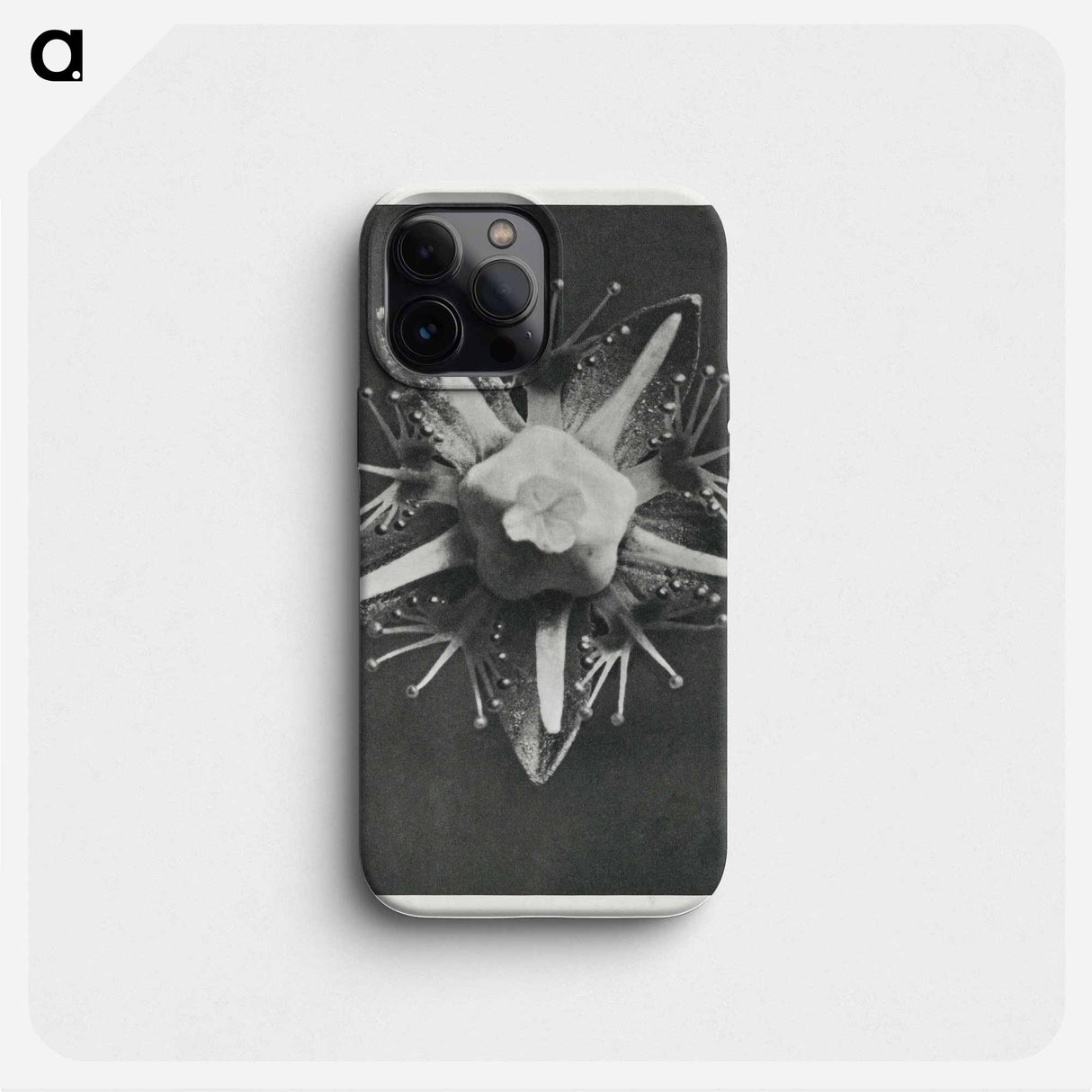 Parnassia palustris - カール ブロスフェルト Phone Case.