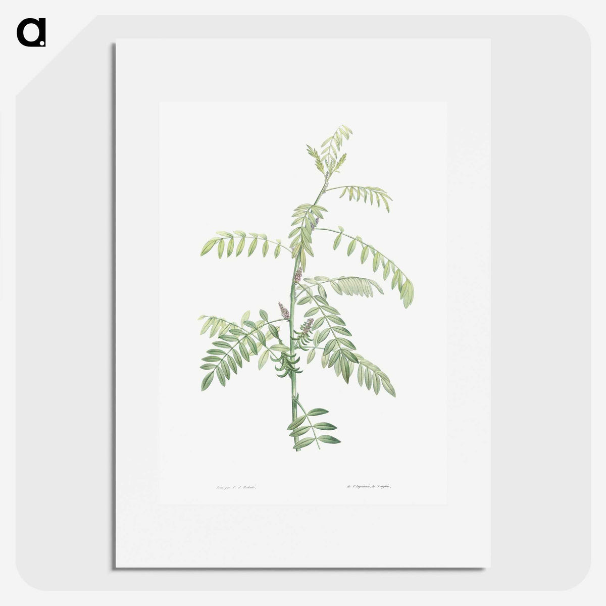 1-49_La-Botanique_picture