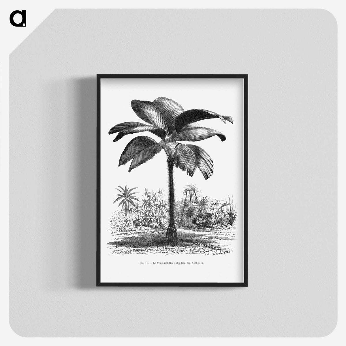1-49_Les-Palmiers-Histoire-Iconographique_blk-crop