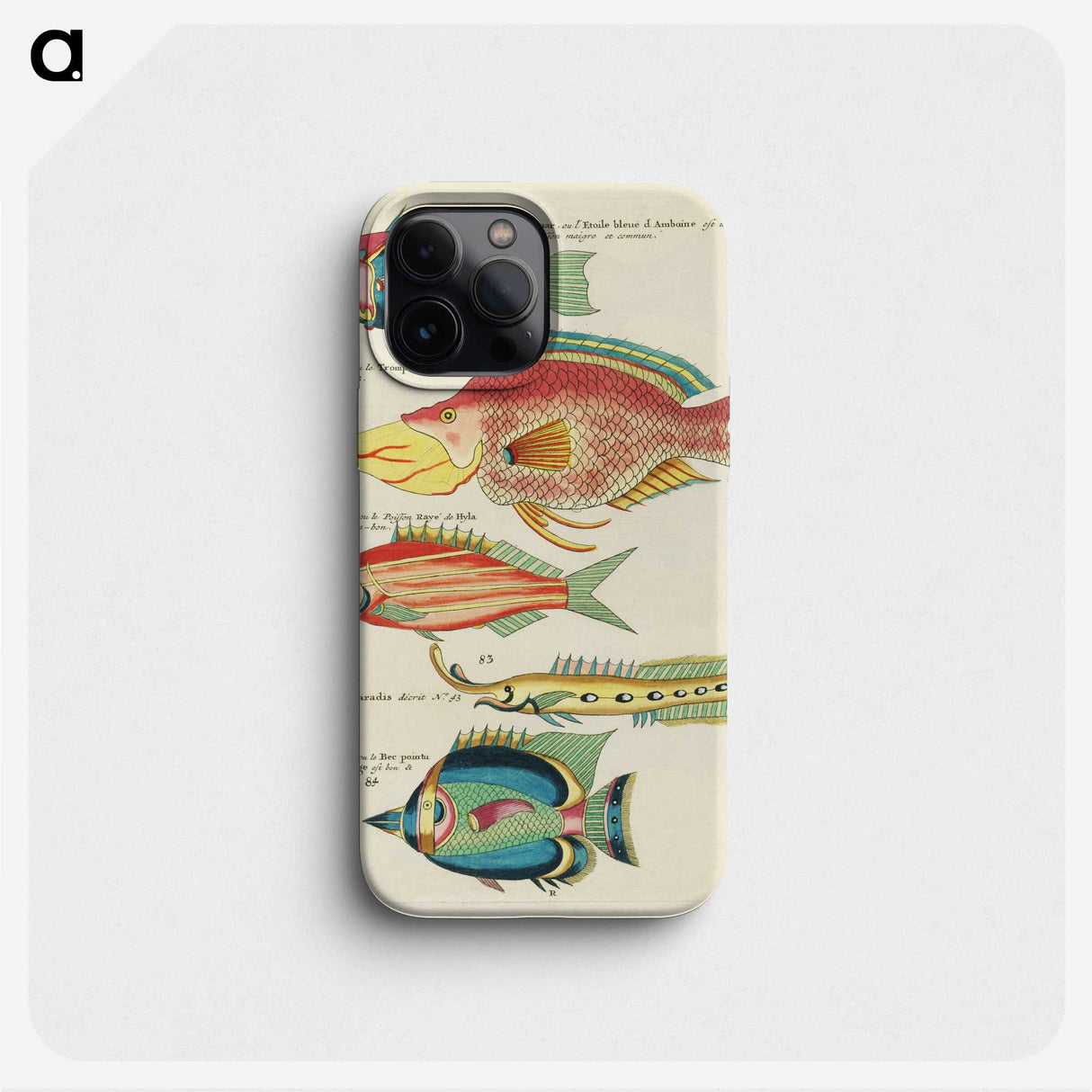 1-49_Louis-Renard_phone
