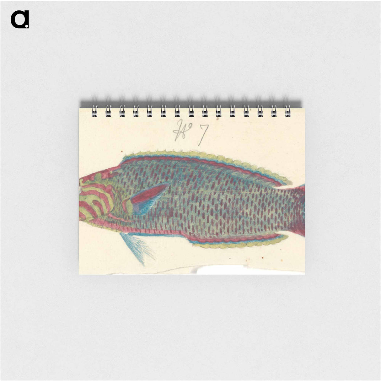 A Fish
- ルイージ バルガーニ Memo.