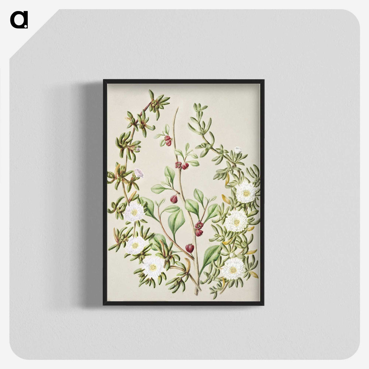 1-49_Native-Flowering-Plants-of-New-Zealand_blk-crop