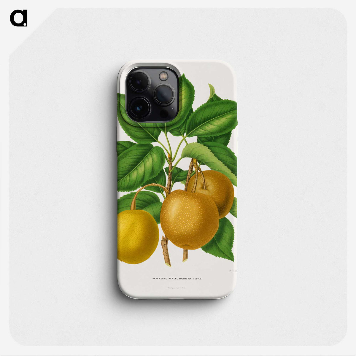 1-49_Nederlandsche-Flora-en-Pomona_phone