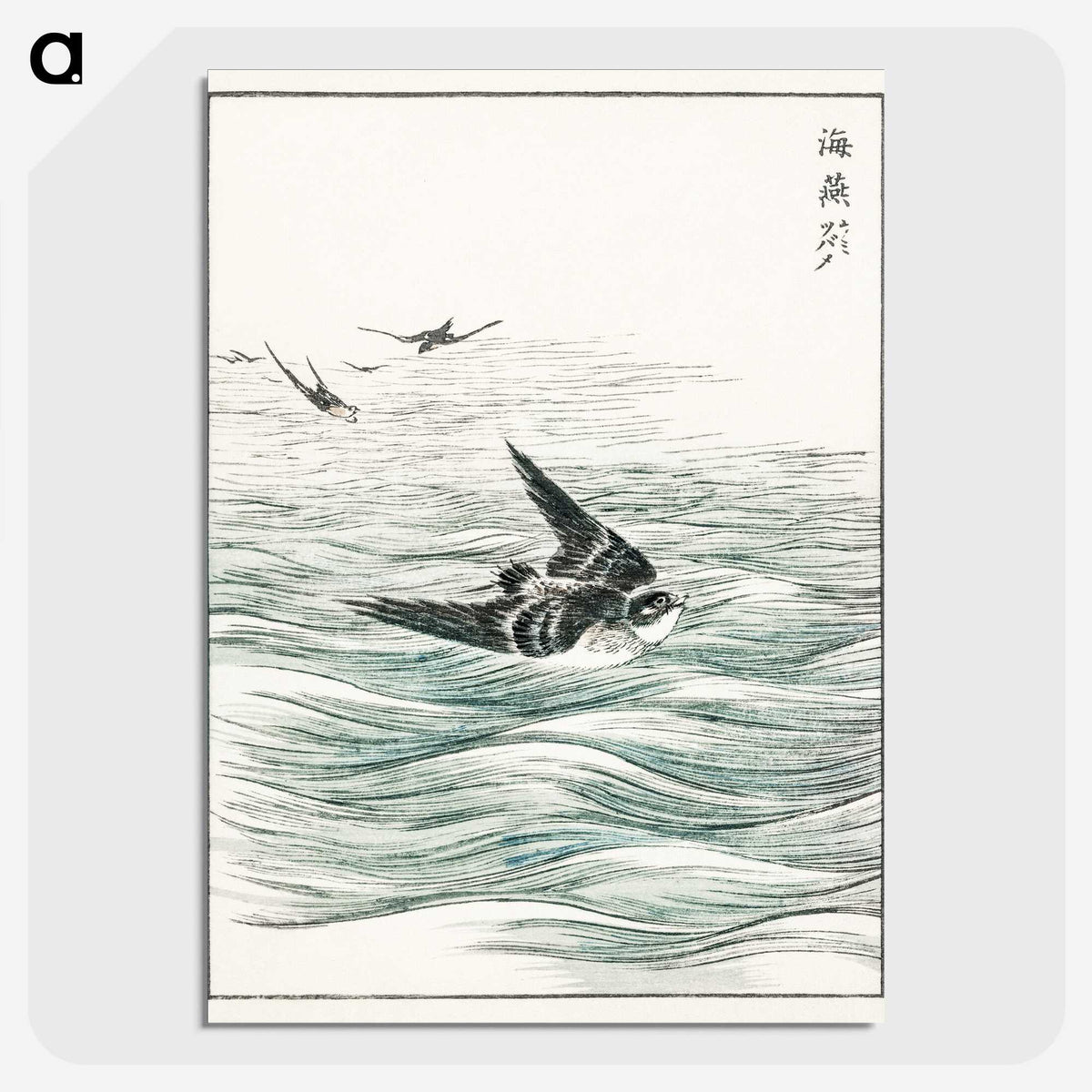 1-49_Pictorial-Monograph-of-Birds_picture-crop