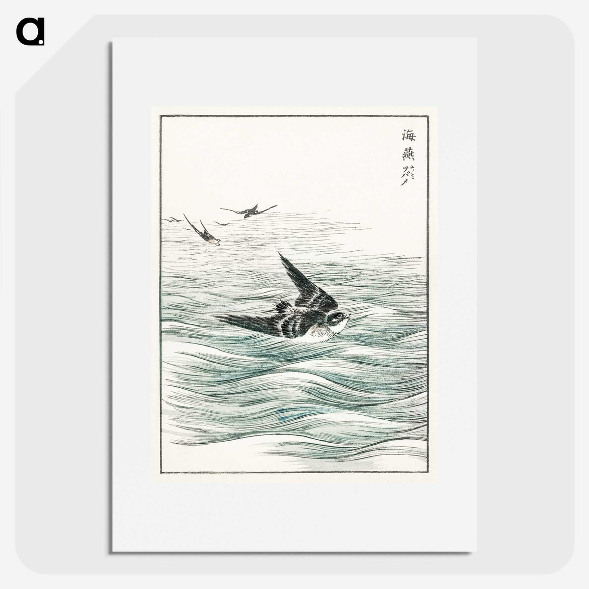 1-49_Pictorial-Monograph-of-Birds_picture