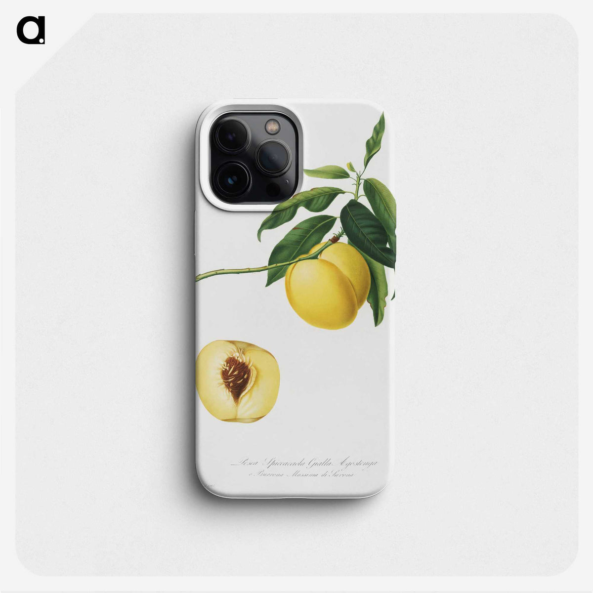 1-49_Pomona-Italiana_phone