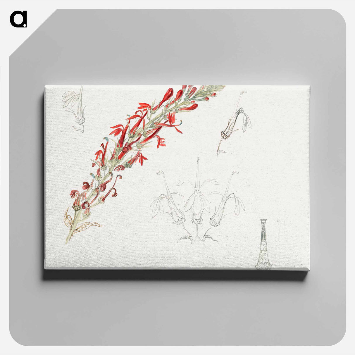 アートパネル-Cardinal Flower - サミュエル コールマン Canvas.