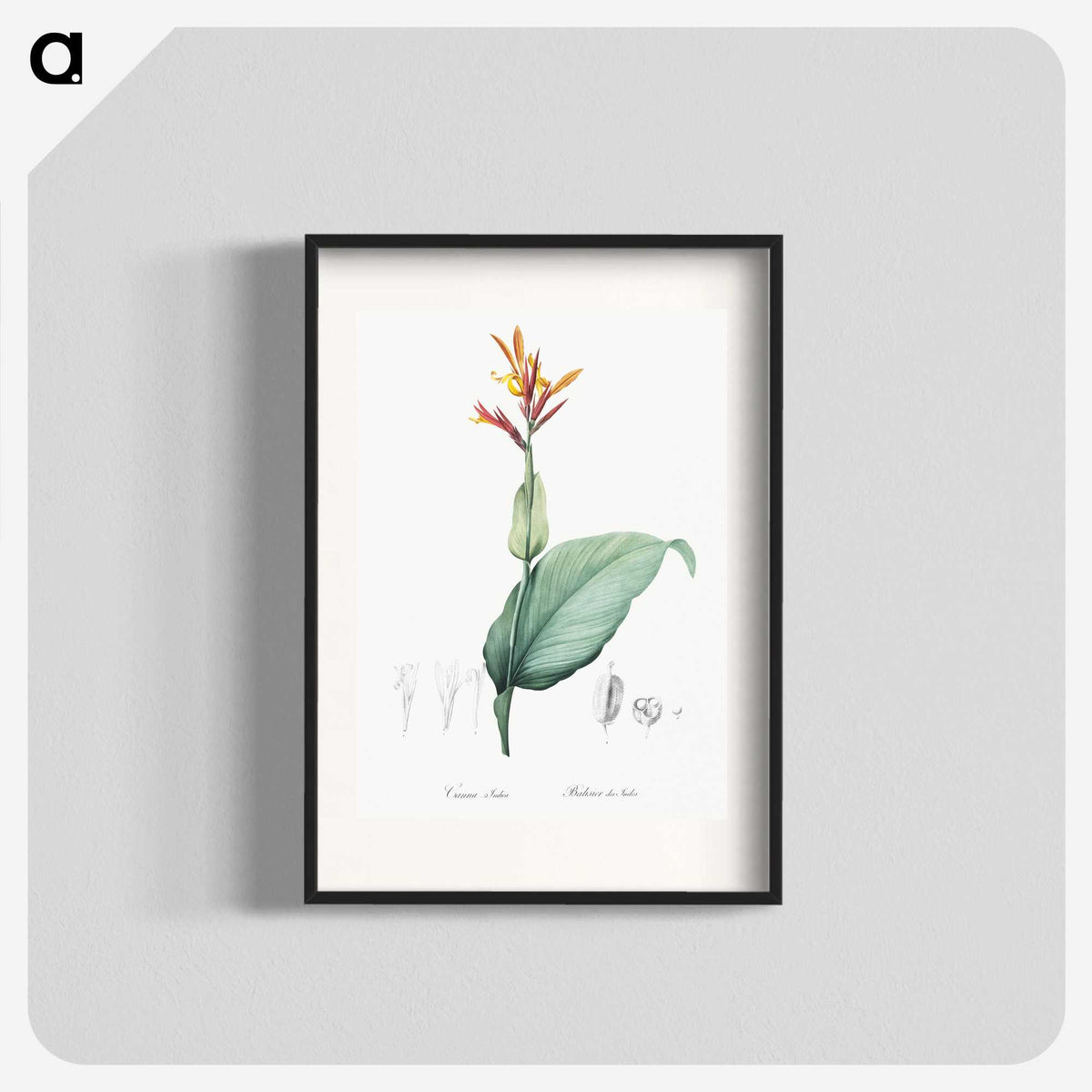 1-49_The-Lilies_blk