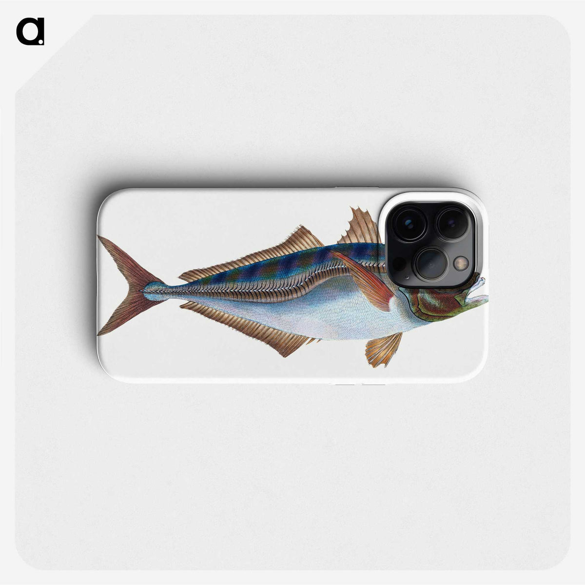 1-49_The-Natural-History-of-British-Fishes_phone