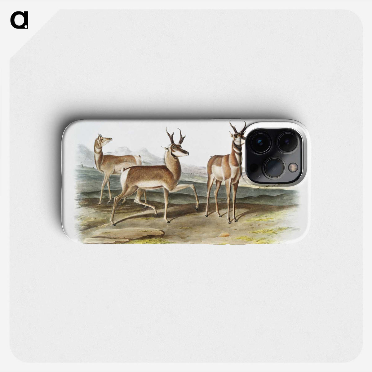1-49_The-Viviparous-Quadrupeds_phone