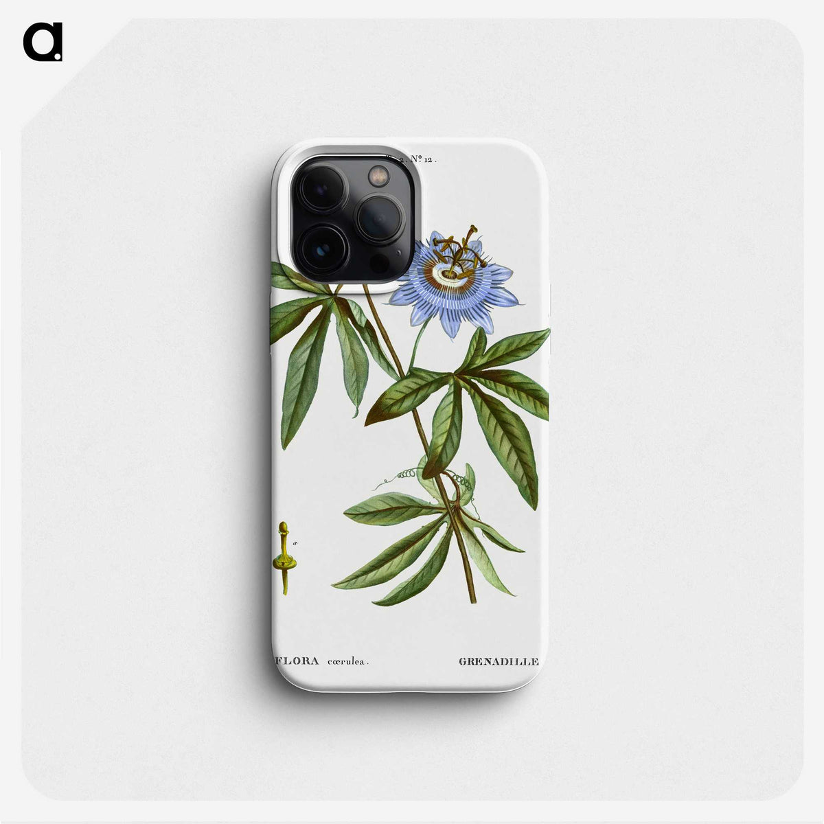 1-49_Treatise-on-Trees-and-Shrubs_phone