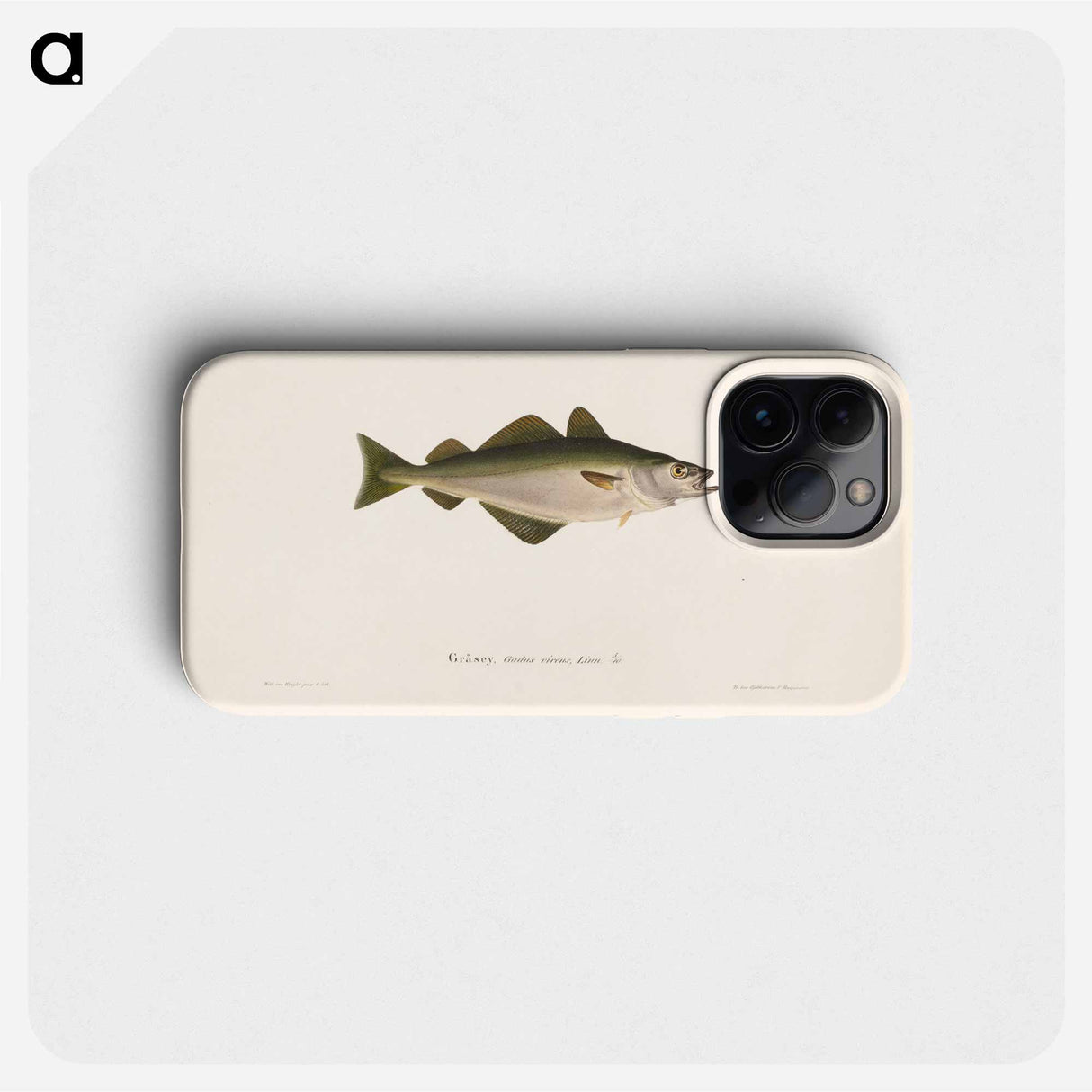 Coalfish - Wilhelm von Wright Phone Case.