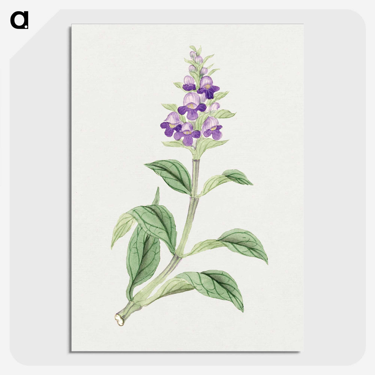 1-4_19th-Century-Japanese-Flowers_picture-crop