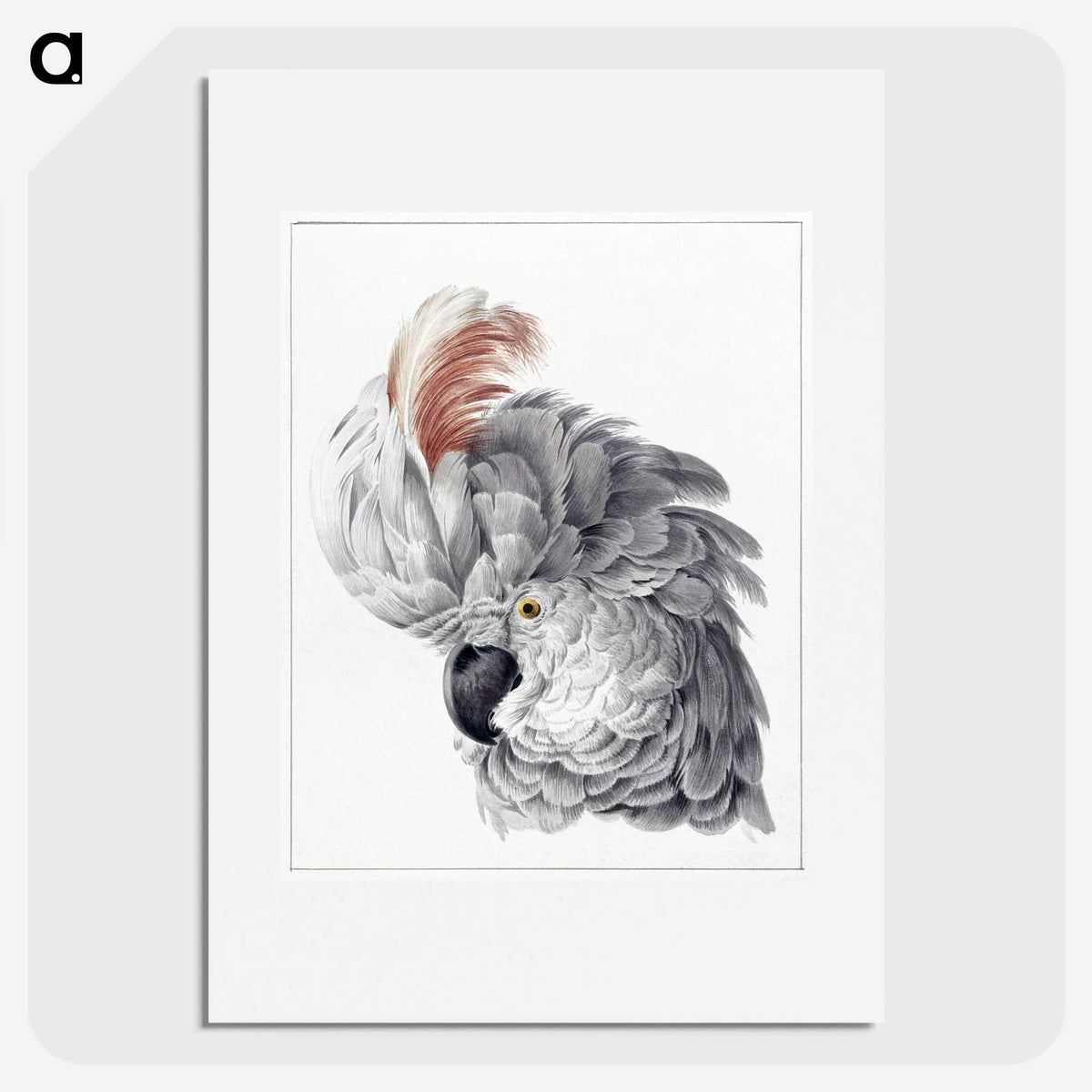1-4_Aert-Schouman_picture