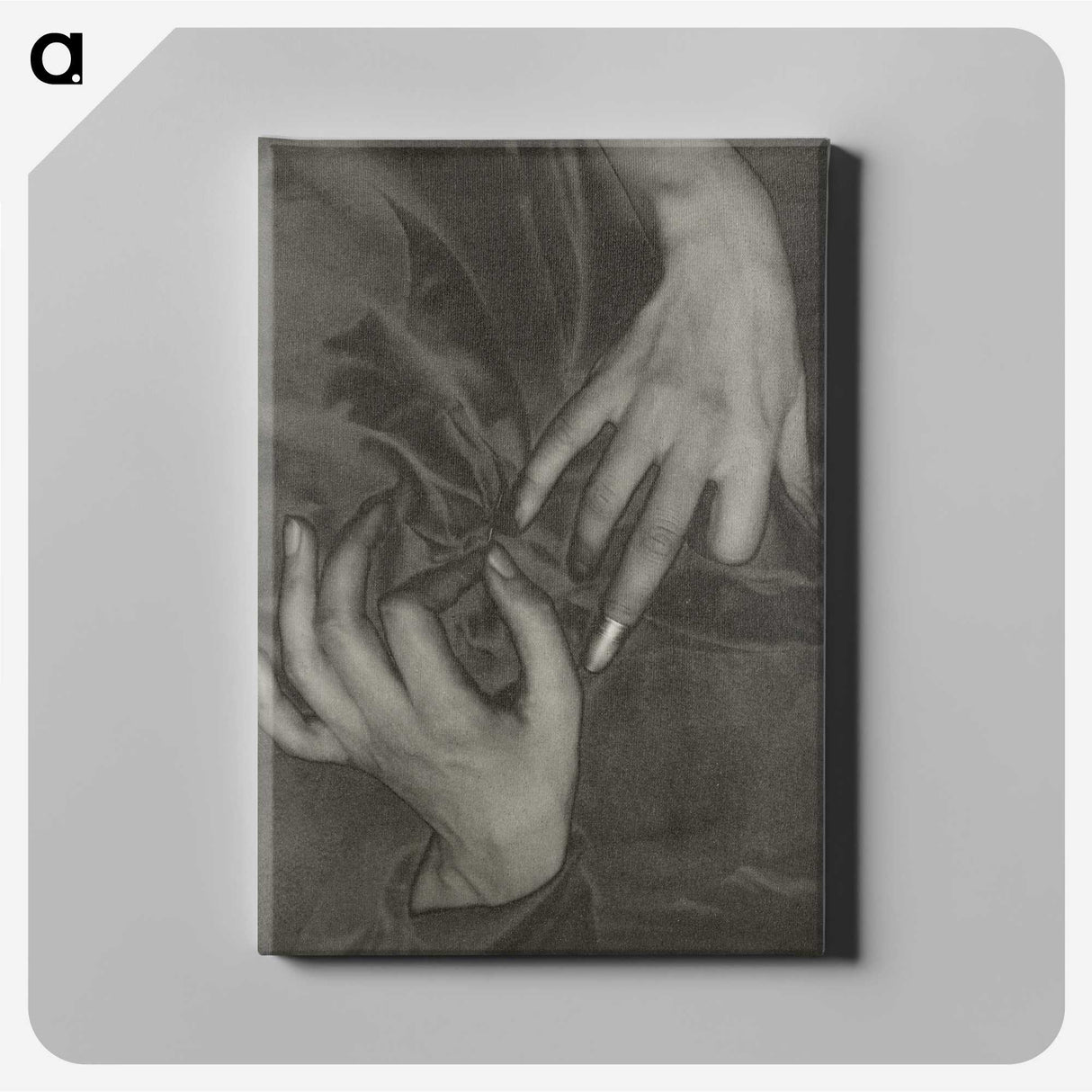 1-4_Alfred-Stieglitz_canvas