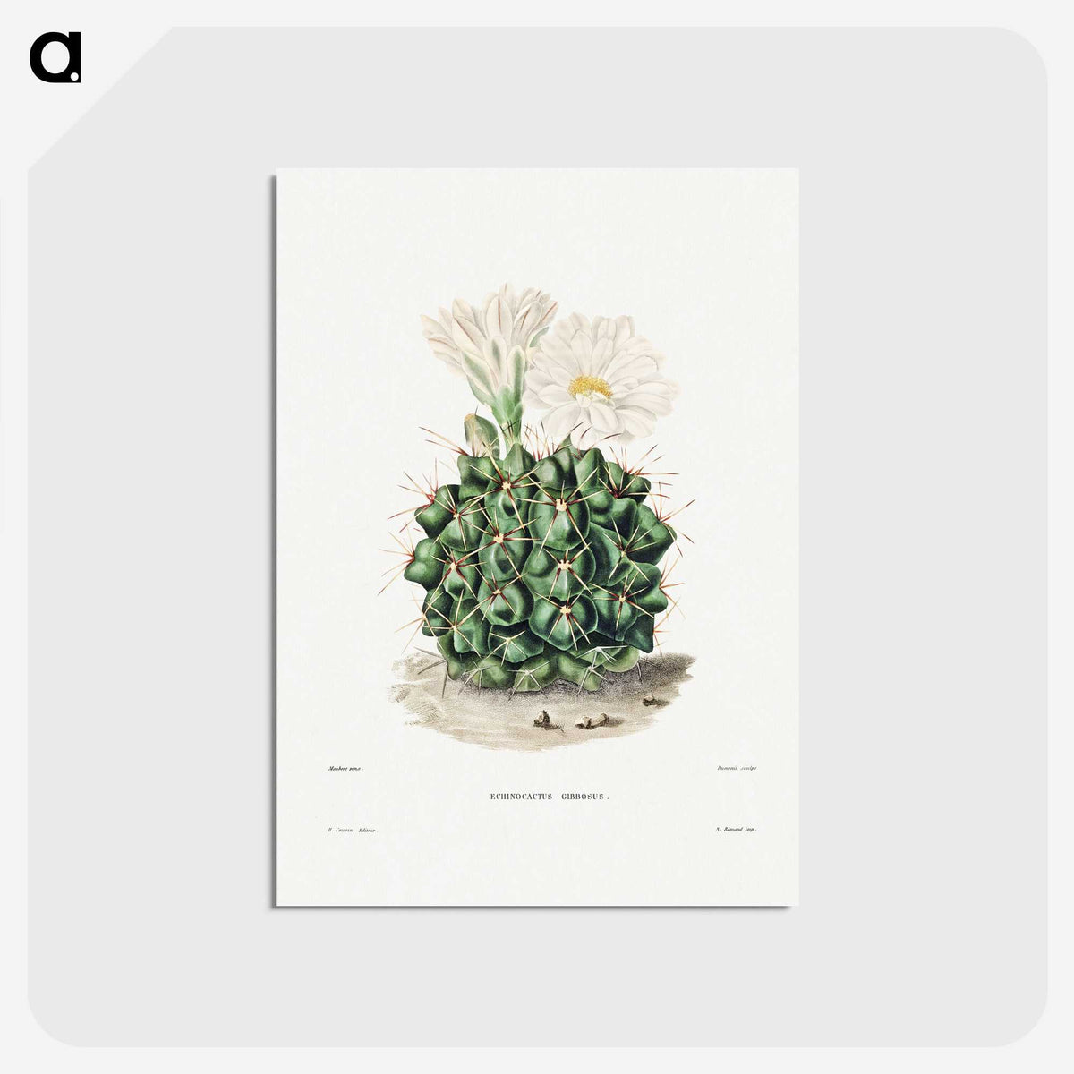 1-4_Charles-Antoine-Lemaire_postcard