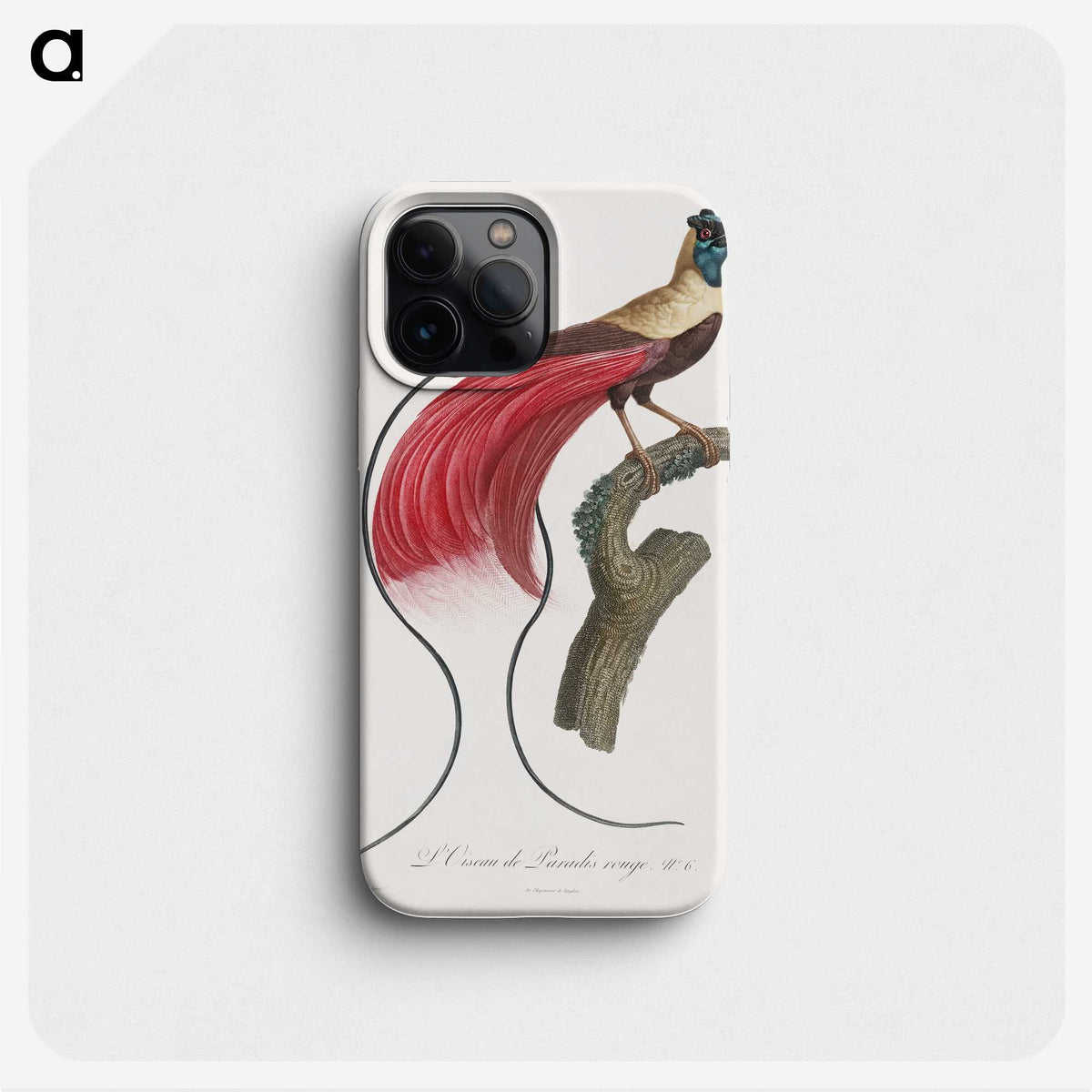1-4_Des-Oiseaux-de-Paradis_phone