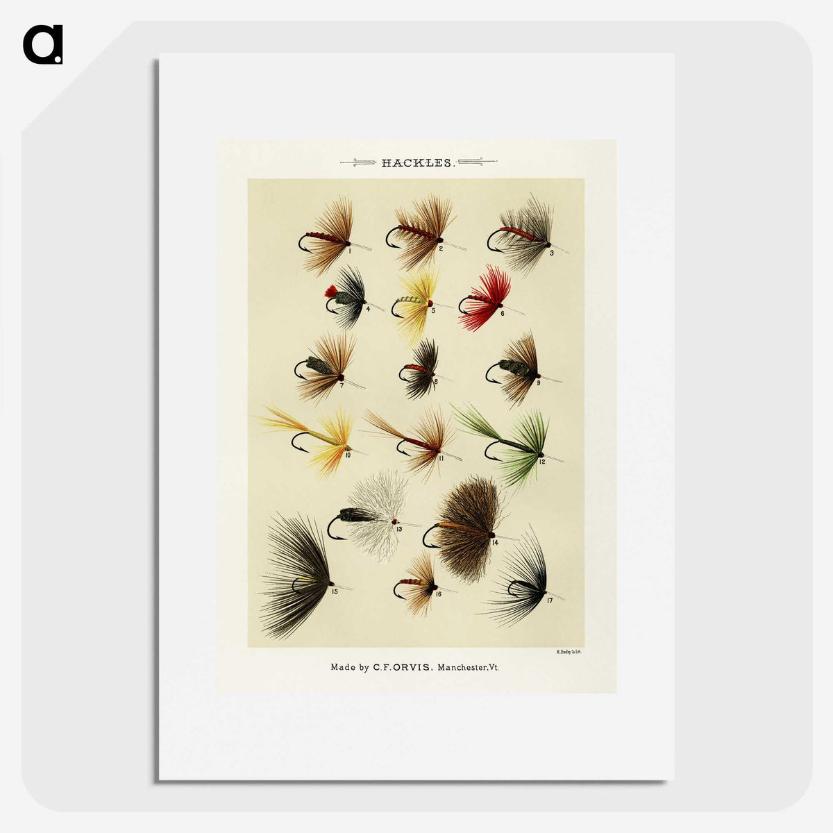 1-4_Favorite-Flies-and-Their-History_picture